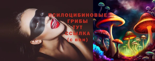 PSILOCYBIN Волоколамск