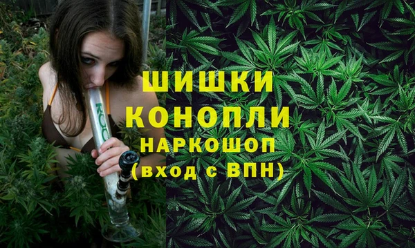 PSILOCYBIN Волоколамск