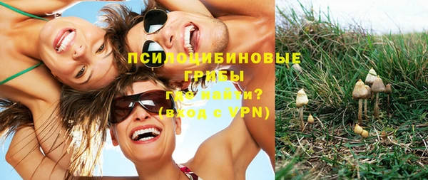метадон Михайлов