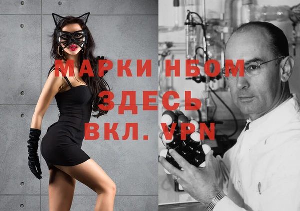 прущие грибы Надым