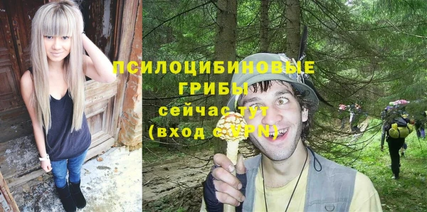 mdpv Михайловск