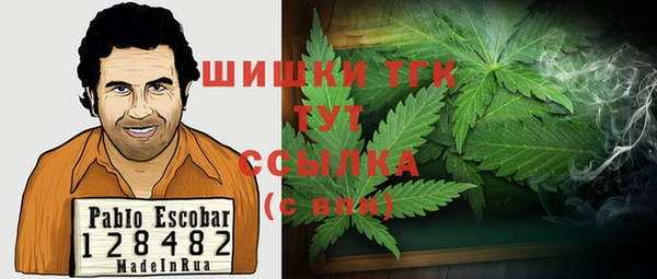 метадон Михайлов